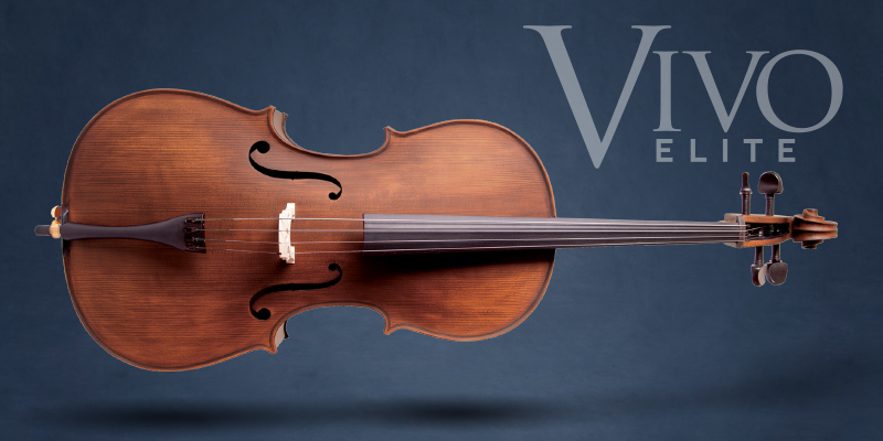new-vivo-elite-cello-promo-header-web-image.jpg